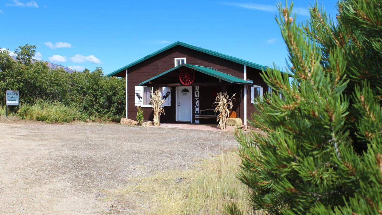 Ranch Mountain Cabin, Stunning! Campfire, Hiking 몬티첼로 외부 사진