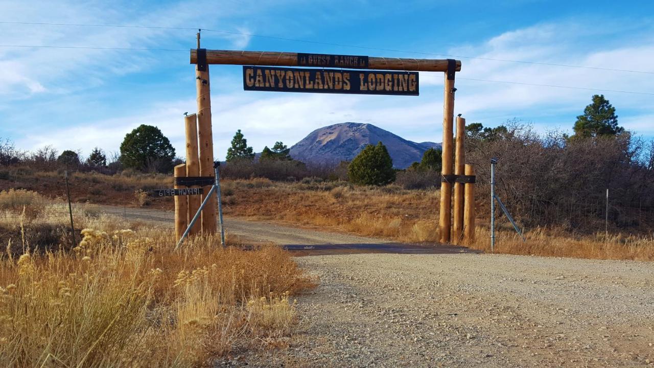 Ranch Mountain Cabin, Stunning! Campfire, Hiking 몬티첼로 외부 사진
